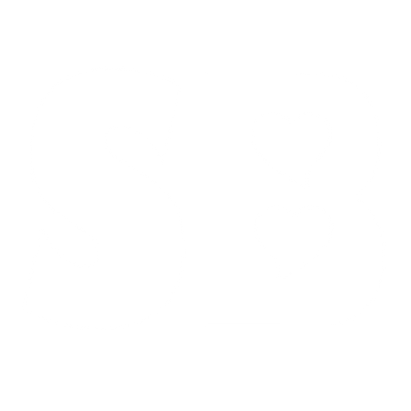 SPICE BOIS